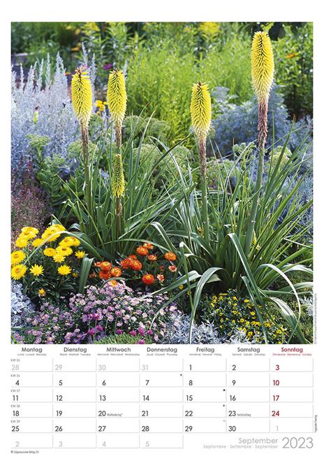 Calendario 2023 da muro Beautiful Gardens, Alpha Edition, 12 mesi, 29,7 x 42 cm - 10