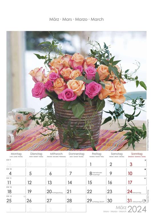 Alpha Edition - Calendario 2024 da muro Rose Dreams, 12 mesi, 23,7x34 cm -  Alpha Edition - Cartoleria e scuola