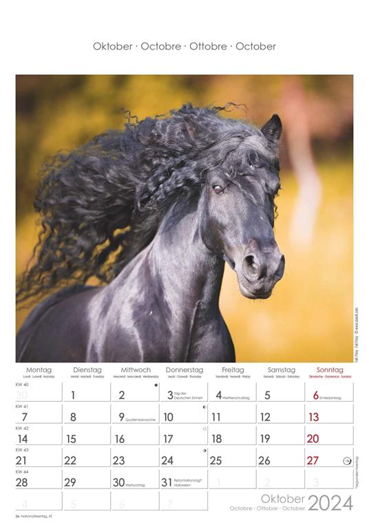 Alpha Edition - Calendario 2024 da muro Horses, 12 mesi, 23,7x34 cm - 11