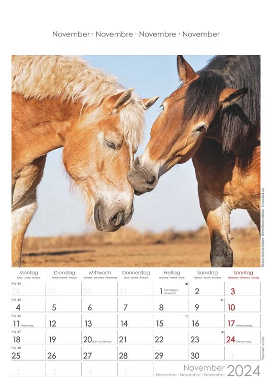 Alpha Edition - Calendario 2024 da muro Horses, 12 mesi, 23,7x34 cm - 12