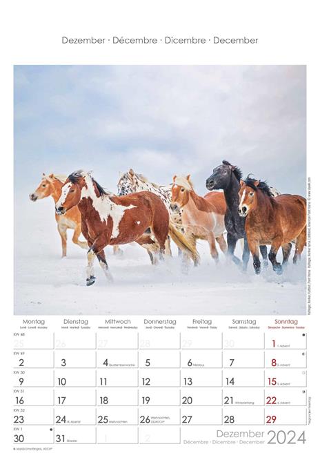 Alpha Edition - Calendario 2024 da muro Horses, 12 mesi, 23,7x34 cm - 13