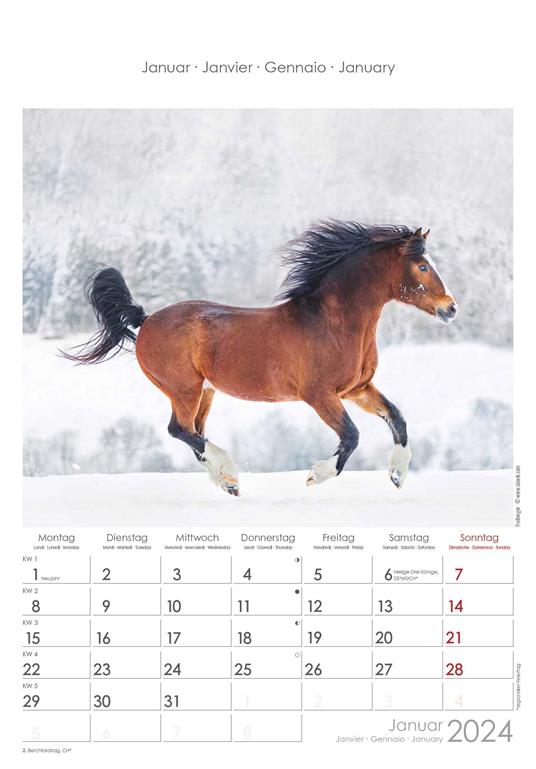 Alpha Edition - Calendario 2024 da muro Horses, 12 mesi, 23,7x34 cm - 2