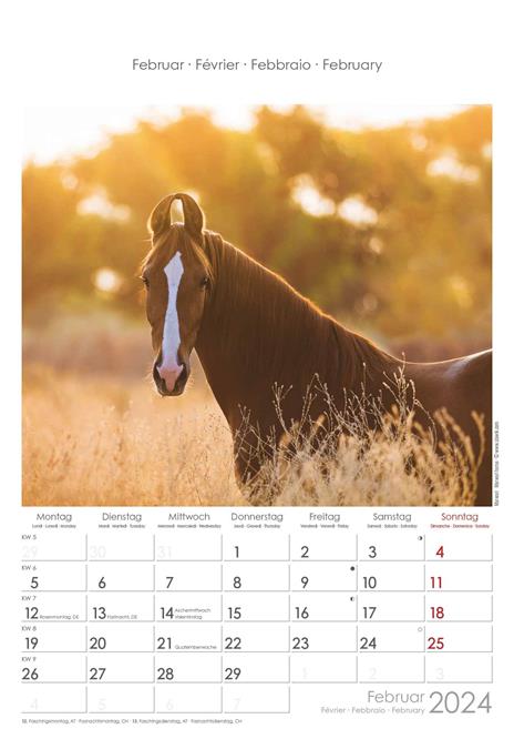 Alpha Edition - Calendario 2024 da muro Horses, 12 mesi, 23,7x34 cm - 3