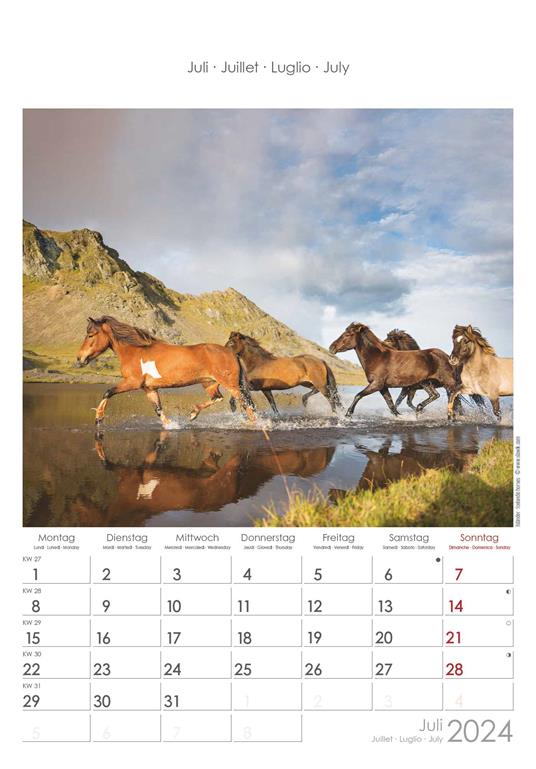 Alpha Edition - Calendario 2024 da muro Horses, 12 mesi, 23,7x34 cm - 8