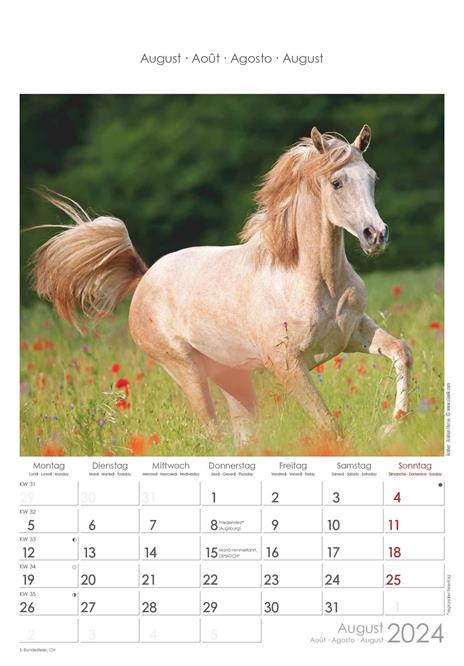 Alpha Edition - Calendario 2024 da muro Horses, 12 mesi, 23,7x34 cm - 9