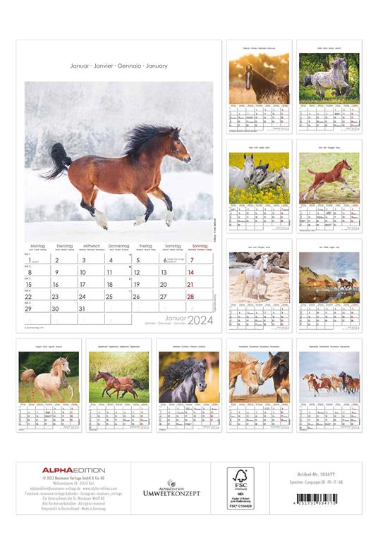 Alpha Edition - Calendario 2024 da muro Horses, 12 mesi, 23,7x34 cm - 14