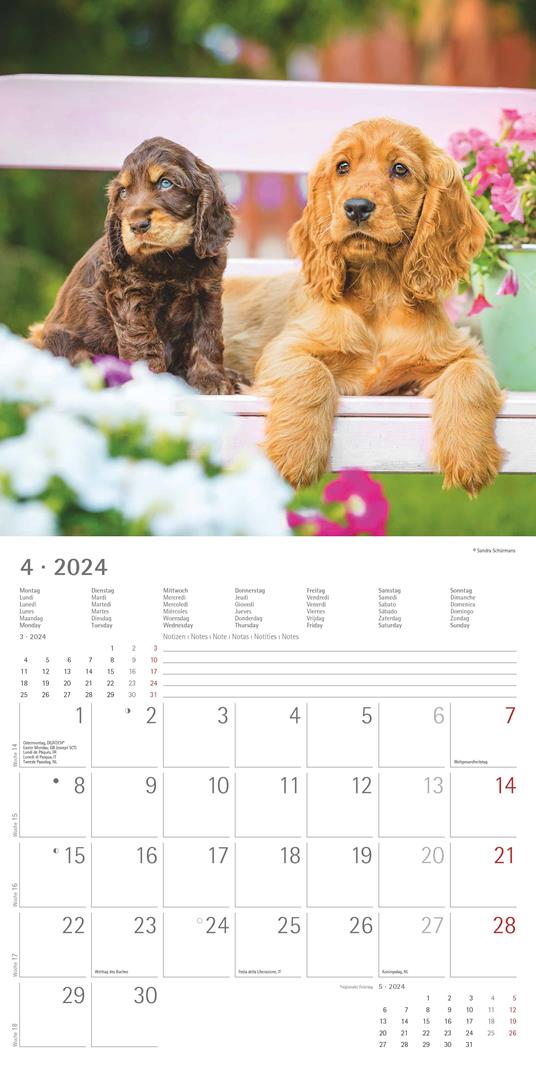 Alpha Edition - Calendario 2024 da muro Dogs, 12 mesi, 30x30 cm - 6