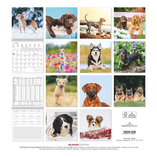 Alpha Edition - Calendario 2024 da muro Dogs, 12 mesi, 30x30 cm - 15