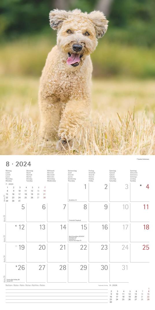 Alpha Edition - Calendario 2024 da muro Dogs, 12 mesi, 30x30 cm - 10