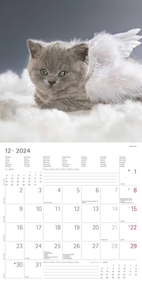 Alpha Edition - Calendario 2024 da muro Kittens, 12 mesi, 30x30 cm - 14
