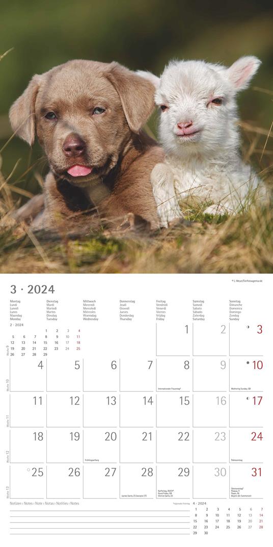 Alpha Edition - Calendario 2024 da muro Animal Frienship, 12 mesi, 30x30 cm  - Alpha Edition - Cartoleria e scuola