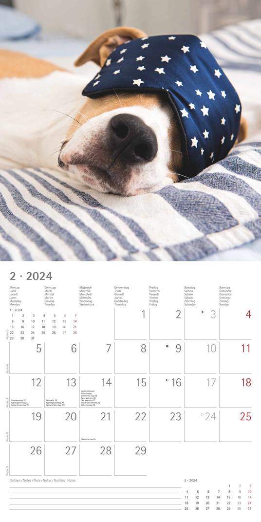 Alpha Edition - Calendario 2024 da muro Funny Dogs, 12 mesi, 30x30 cm - 4