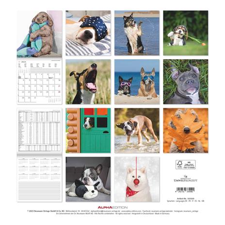 Alpha Edition - Calendario 2024 da muro Funny Dogs, 12 mesi, 30x30 cm - 15