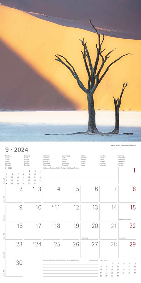 Alpha Edition - Calendario 2024 da muro Emotions, 12 mesi, 30x30 cm - 11