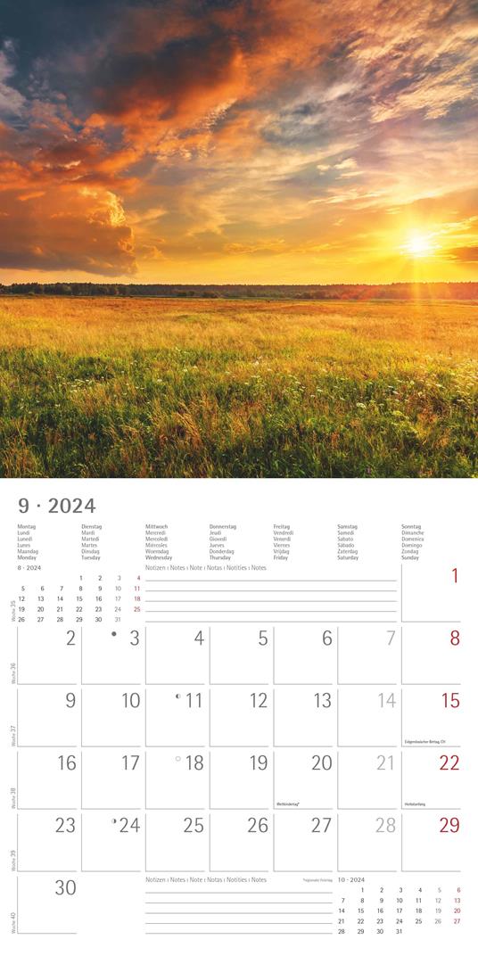 Alpha Edition - Calendario 2024 da muro Sunny Moments, 12 mesi, 30x30 cm - 11