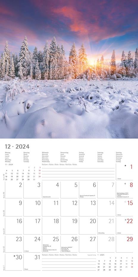 Alpha Edition - Calendario 2024 da muro Sunny Moments, 12 mesi, 30x30 cm - 14