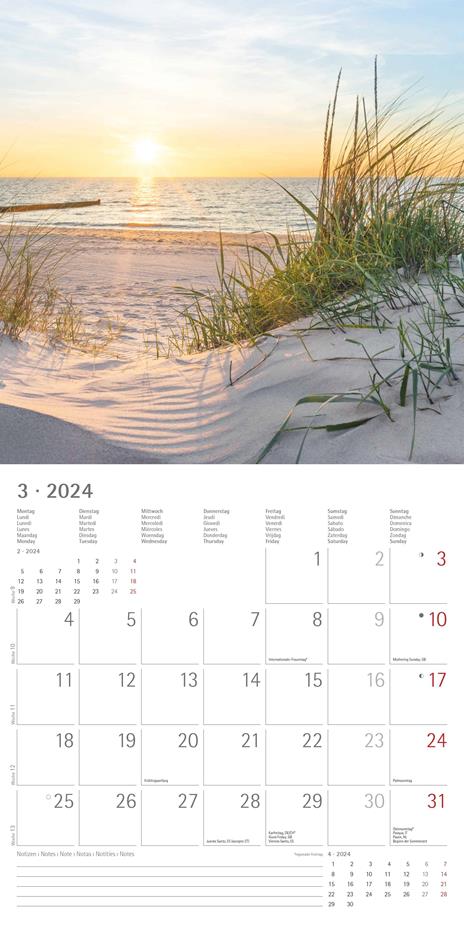 Alpha Edition - Calendario 2024 da muro Sunny Moments, 12 mesi, 30x30 cm - 5