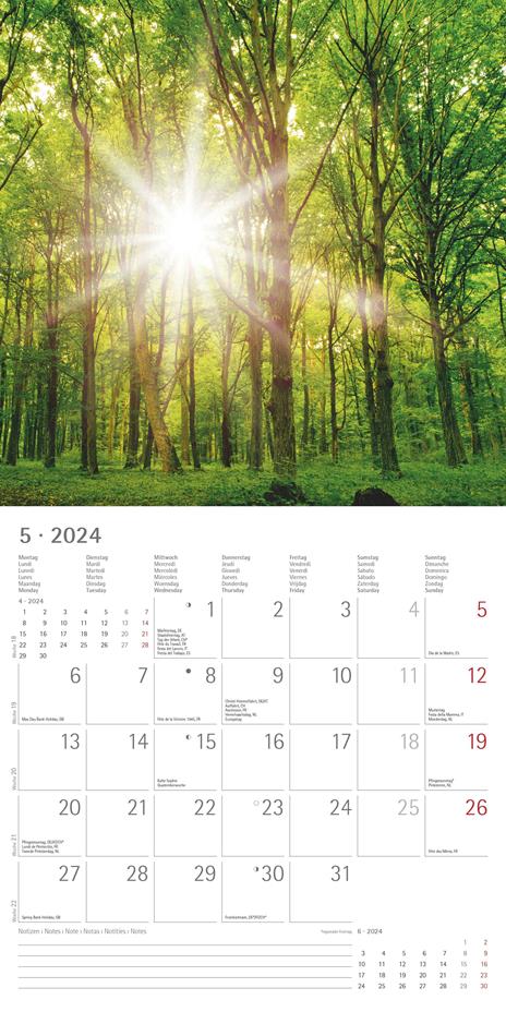 Alpha Edition - Calendario 2024 da muro Sunny Moments, 12 mesi, 30x30 cm - 7