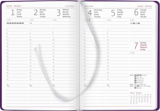 Alpha Edition - Agenda Settimanale Ladytimer Deluxe 2024, 10,7x15,2 cm,  Purple, 128 pagine - Alpha Edition - Cartoleria e scuola