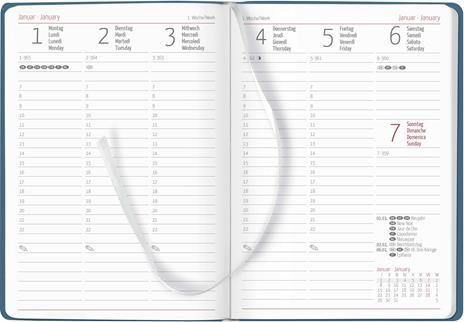 Alpha Edition - Agenda Settimanale Ladytimer Deluxe 2024, 10,7x15,2 cm, Sky, 128 pagine - 2