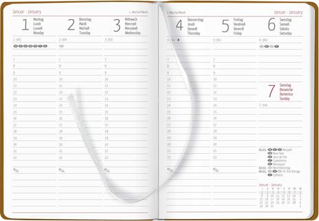 Alpha Edition - Agenda Settimanale Ladytimer Deluxe 2024, 10,7x15,2 cm, Honey, 128 pagine - 2