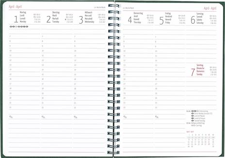 Alpha Edition - Agenda Settimanale Nature Line 2024, 15x21 cm , Pine, 128  pagine - Alpha Edition - Cartoleria e scuola