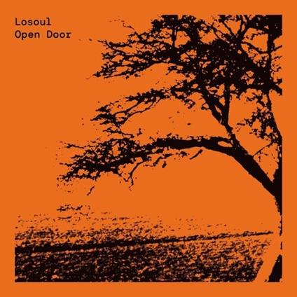 Open Door - Vinile LP di Losoul