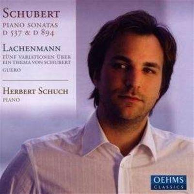 Sonate per Pianoforte D537, D894 - CD Audio di Herbert Schuch