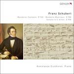 Wanderer-Fantasie D 760, Moments Musicaux D 780, Sonata in Do Minore D 958 - CD Audio di Franz Schubert