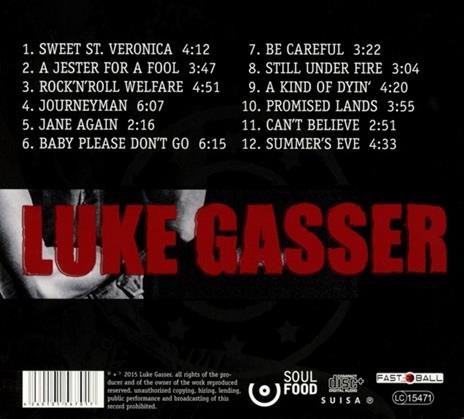 Rock 'N Roll Wellfare - CD Audio di Luke Gasser - 2