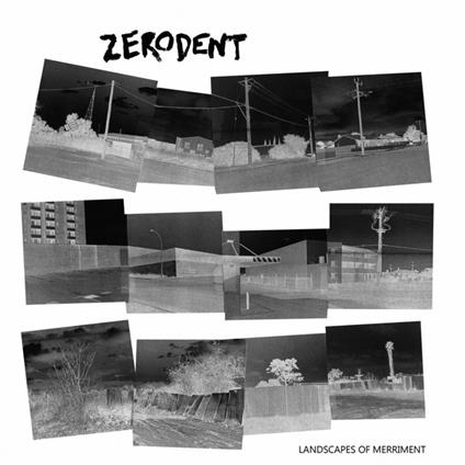 Landscapes of Merriment - Vinile LP di Zerodent