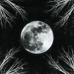 Pale Moon - CD Audio di Corpus Christii