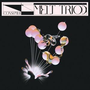 Consumer - Vinile LP di Melt Trio