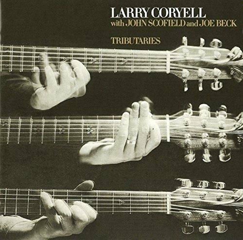 Tributaries - CD Audio di Larry Coryell