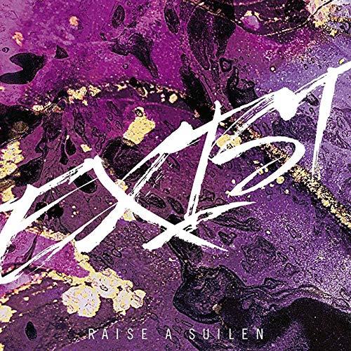 Exist - CD Audio di Raise a Suilen