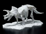 Dinosaur Limex Skeleton Triceratops Mk