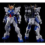 P-Bandai Master Grade MG 1/100 Mobile Suit Gundam ZGMF-X12D Gundam Astray Out Frame D