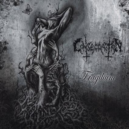 Fragilium - CD Audio di Consecration