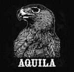 Aquila