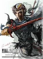 Final Fantasy Ii Firion Sleeves