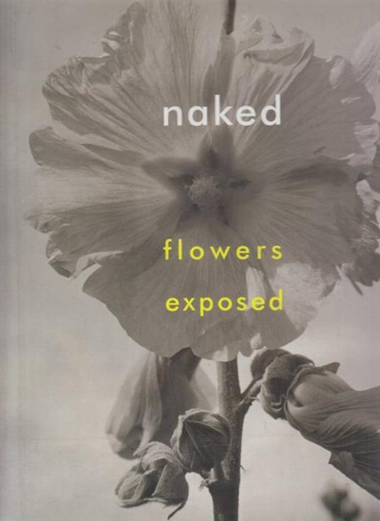 Flowers exposed - Walter Hubert - 10