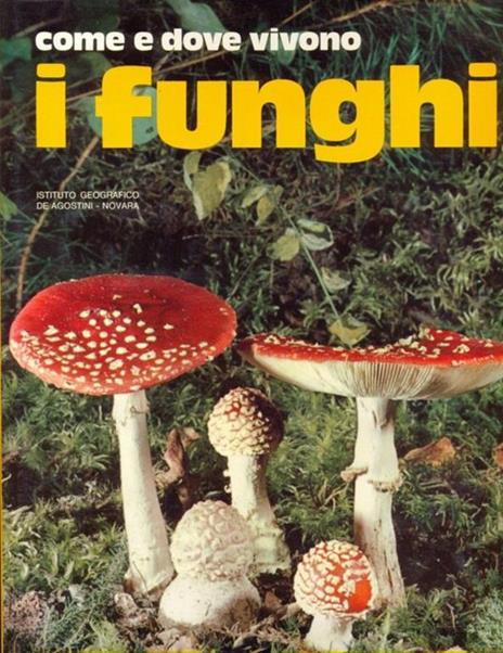 Come e dove vivono i funghi - Umberto Tosco - 9