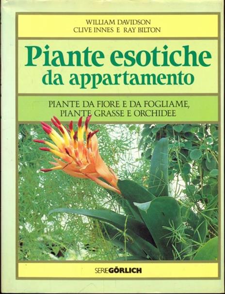 Piante esotiche da appartamento - 10