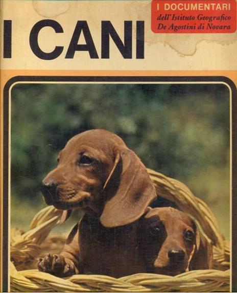 I cani - Adriano Torregrossa - copertina