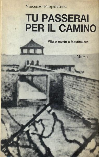 Tu passerai per il camino - Vincenzo Pappalettera - copertina