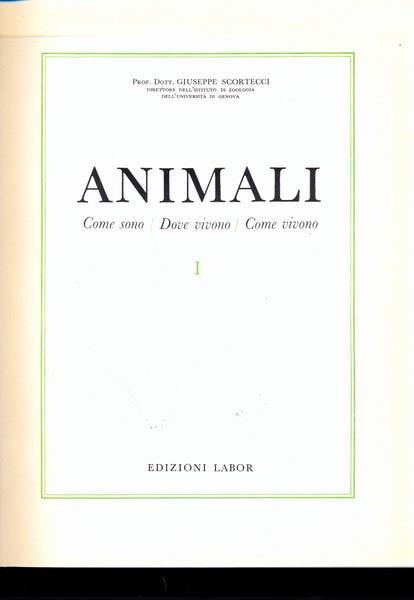 Animali - Giuseppe Scortecci - 2