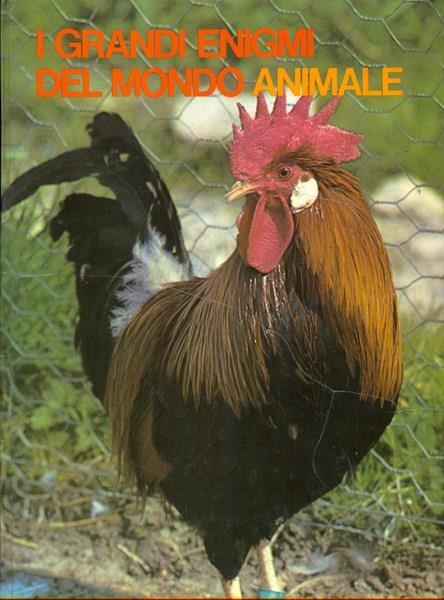 I grandi enigmi del mondo animale: gli animali domestici 3 - Yves Verbeek - 9