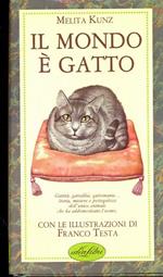 Il mondo é gatto