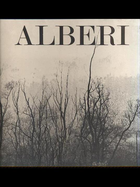 Alberi - 9