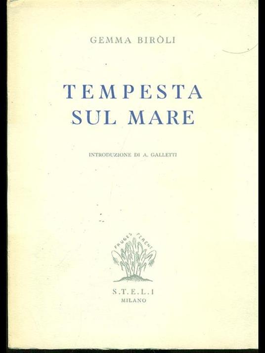 Tempesta sul mare - Gemma Biroli - copertina